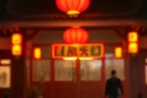 山雀与铁轨剧照，废弃铁轨旁停在电线上的山雀